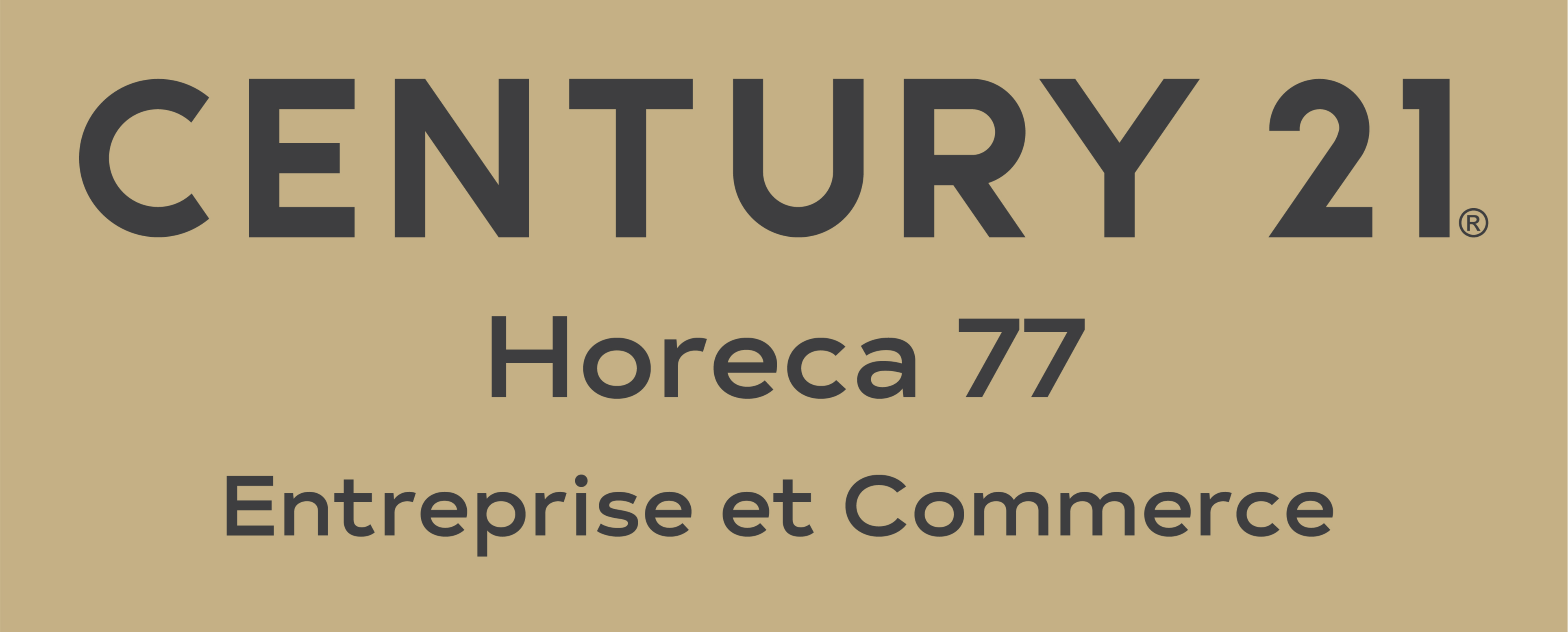 Agrandir la photo Tous commerces sauf nuisance à vendre - 77 - Seine-et-Marne