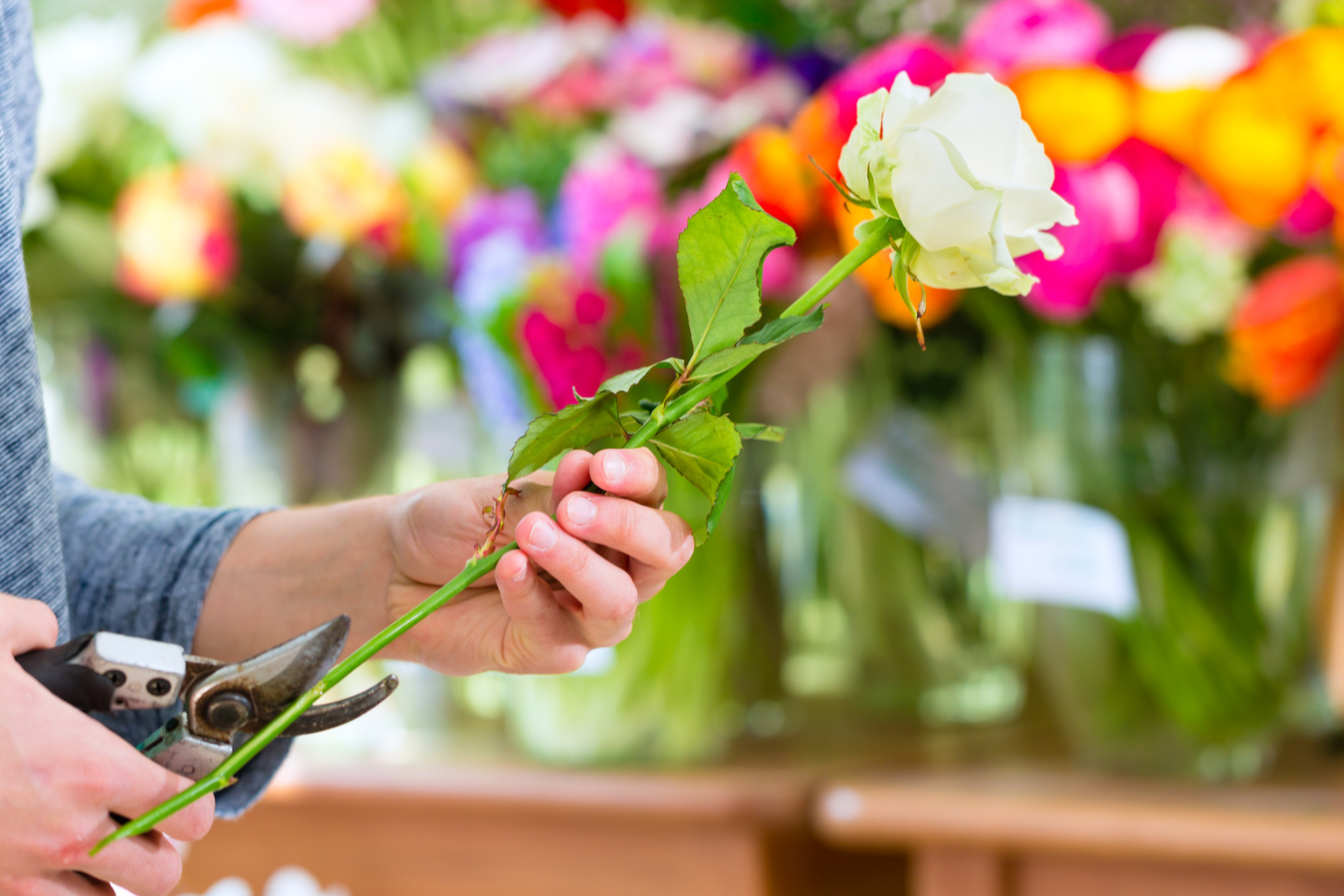 Agrandir la photo Fleurs à vendre - 60.0 m2 - 91 - Essonne