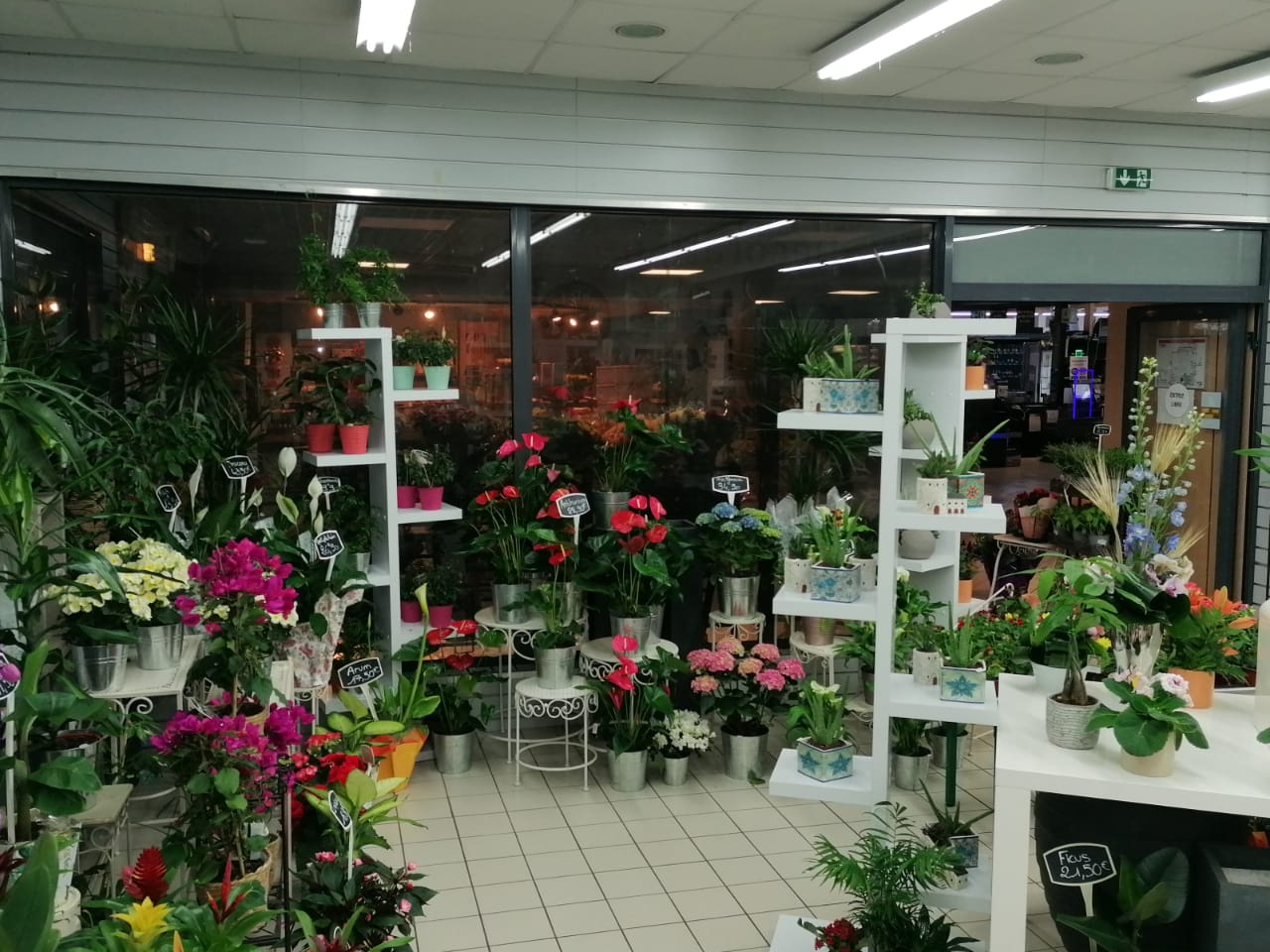 Agrandir la photo Fleurs à vendre - 147.0 m2 - 77 - Seine-et-Marne