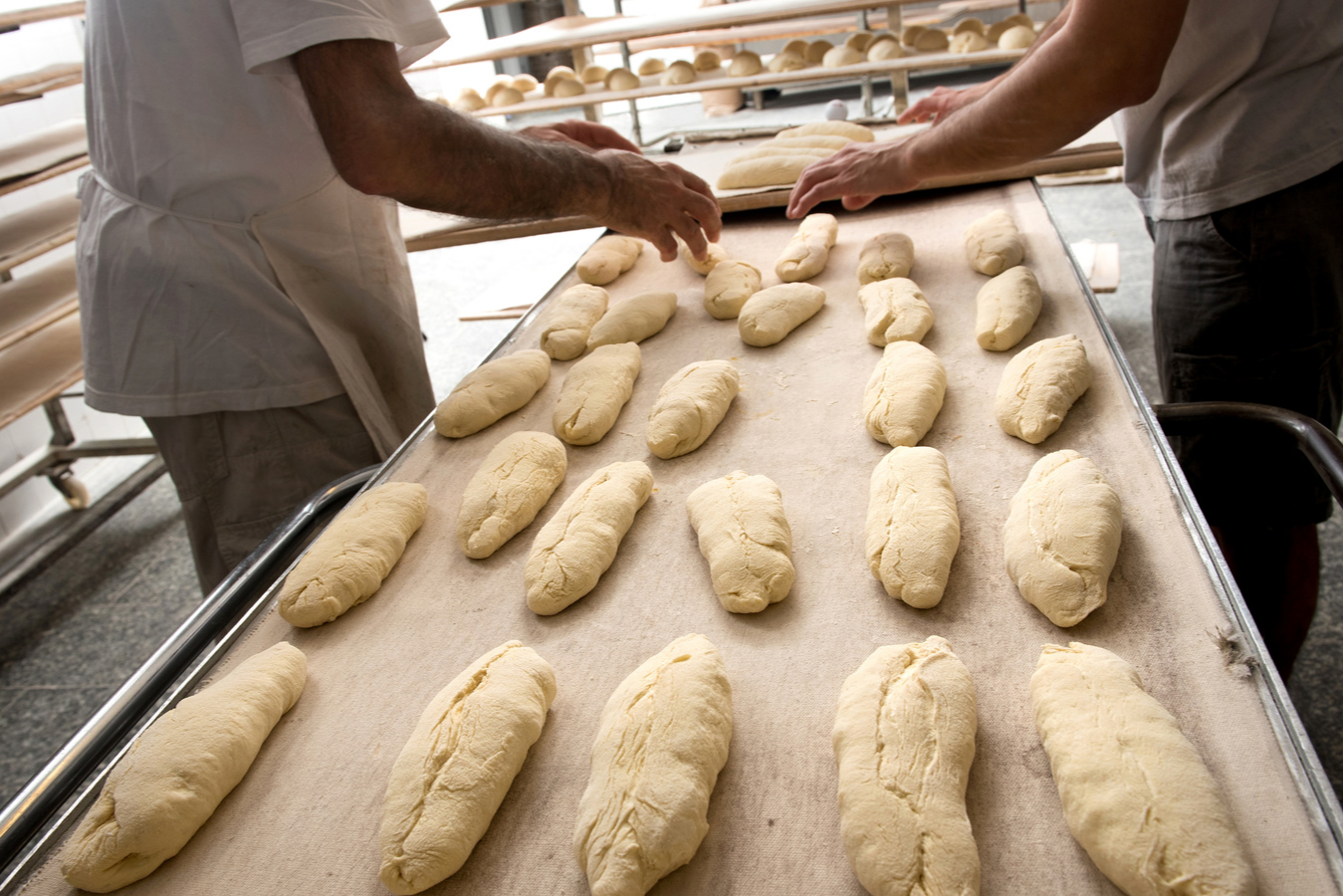 Boulangerie à vendre - 165.0 m2 - 31 - Haute-Garonne