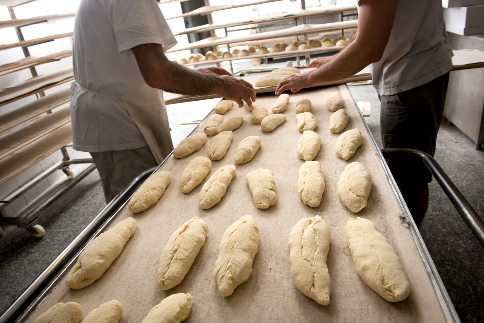 Boulangerie à vendre - 200.0 m2 - 31 - Haute-Garonne