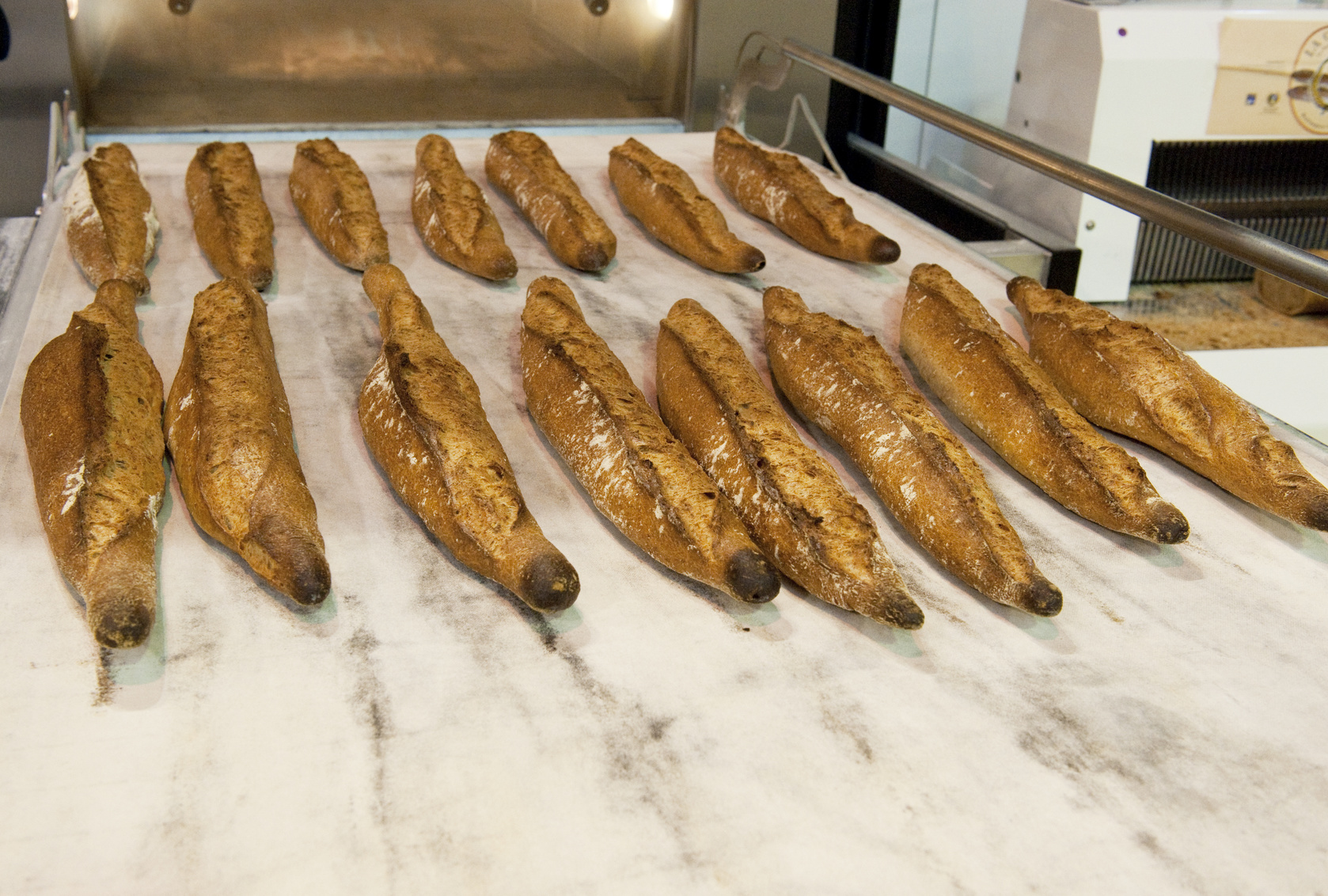 Agrandir la photo Boulangerie à vendre - 500.0 m2 - 31 - Haute-Garonne