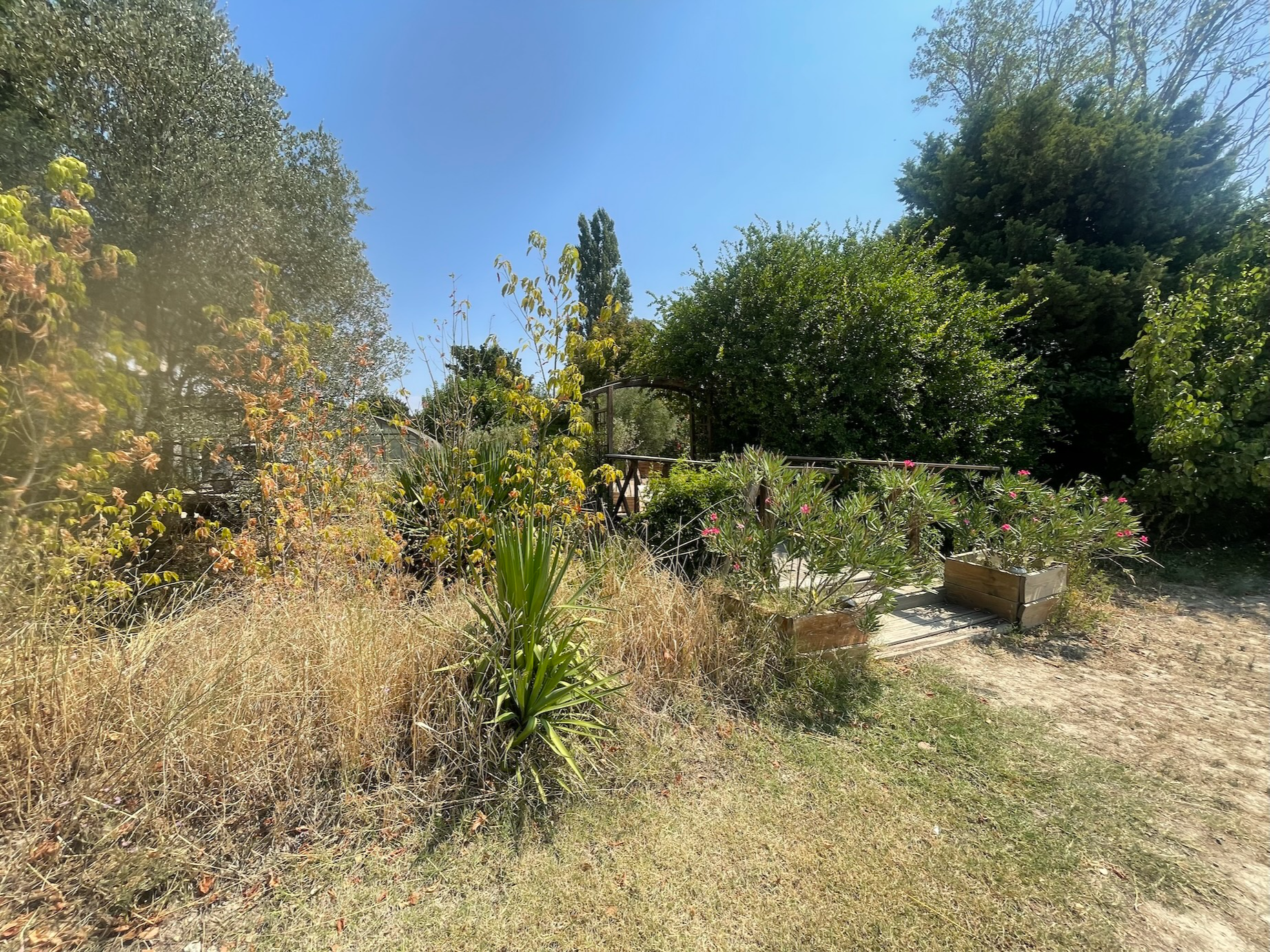 Agrandir la photo Restaurant à vendre - 4500.0 m2 - 84 - Vaucluse