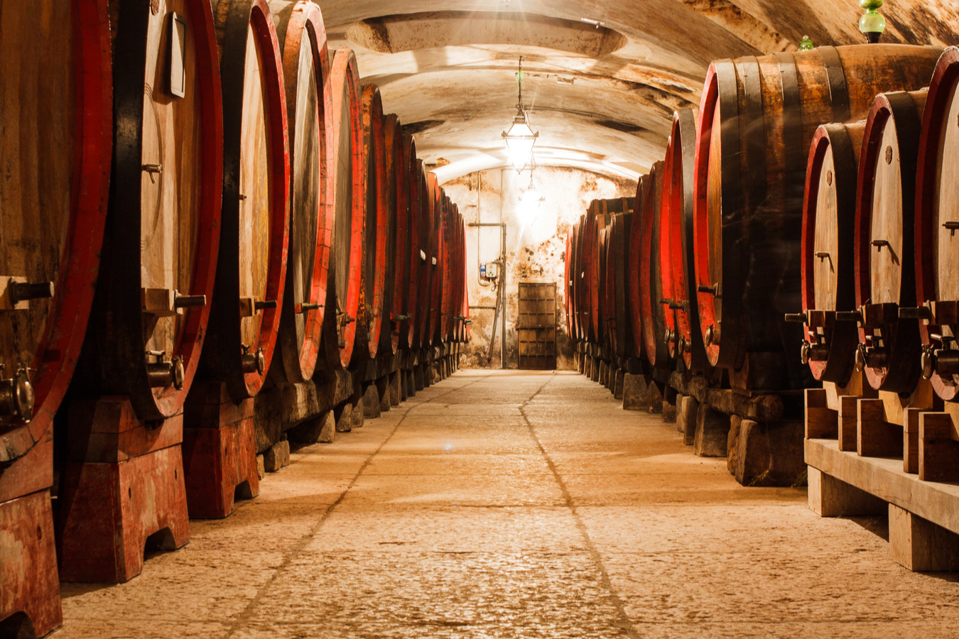 Cave à vin à vendre - 75 - Paris