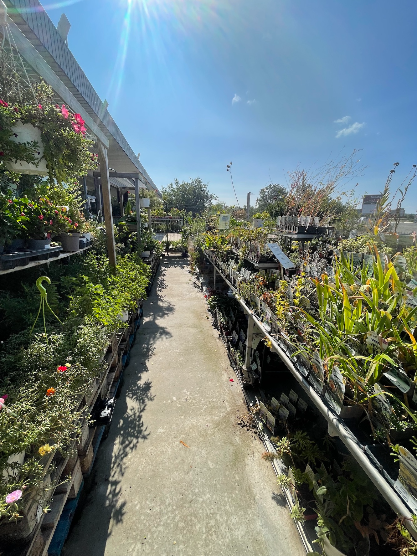 Local commercial à vendre - 600.0 m2 - 84 - Vaucluse