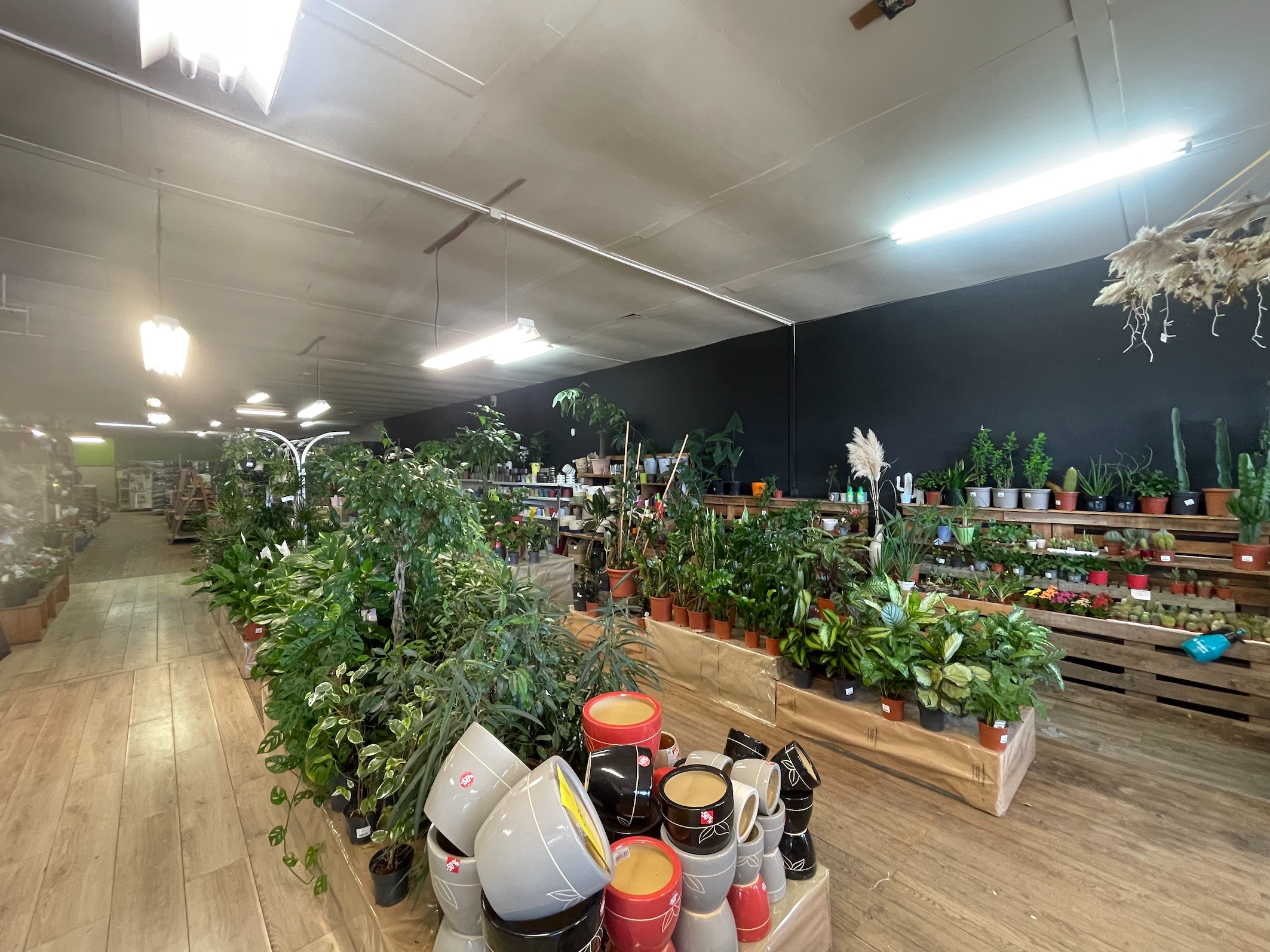 Local commercial à vendre - 600.0 m2 - 84 - Vaucluse