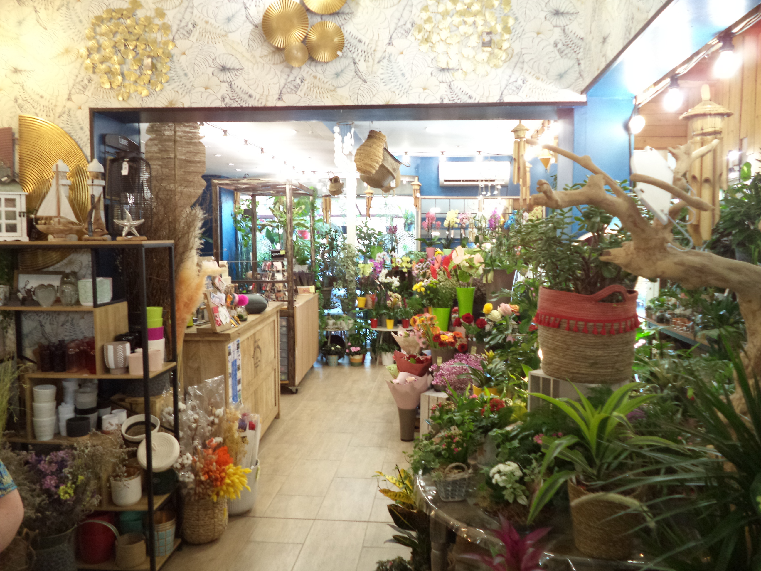 Fleurs à vendre - 70.0 m2 - 30 - Gard